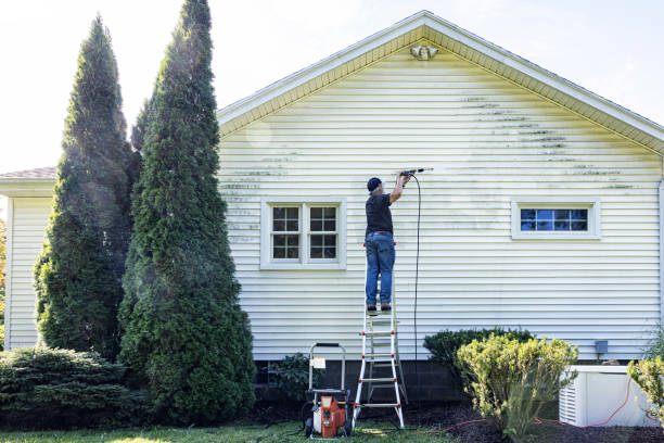 Best Roof Pressure Washing  in Twin Lake, MI